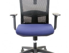 Orthopedic Mesh Chair