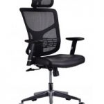 Orthopedic Mesh Chair