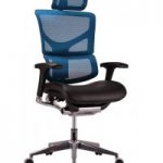 Orthopedic Mesh Chair