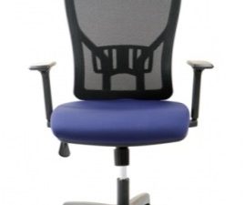 Orthopedic Mesh Chair